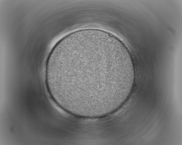X0000113291519200910131016