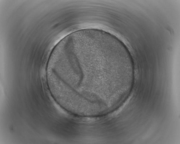 X0000113291521200910131016