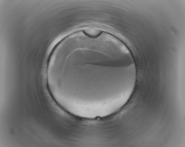 X0000113291522200910131016