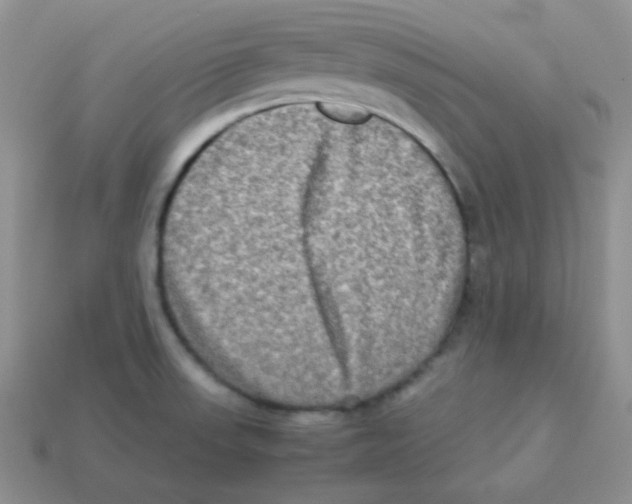 X0000113291523200910131016