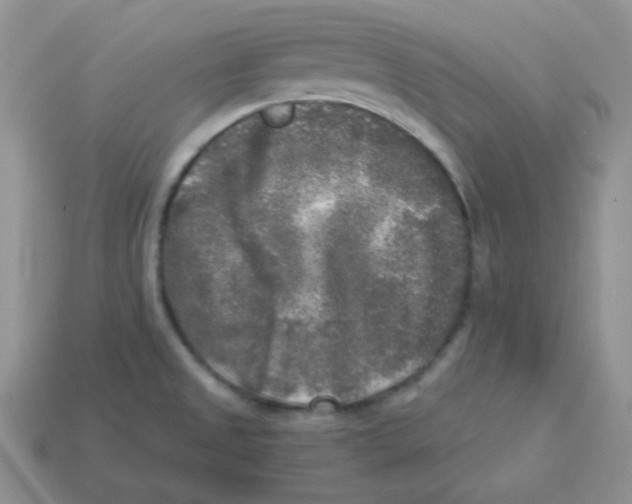 X0000113291525200910131016