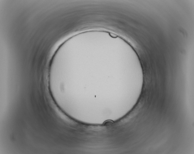 X0000113291526200910131016