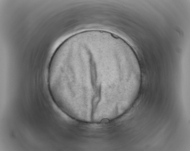 X0000113291527200910131016