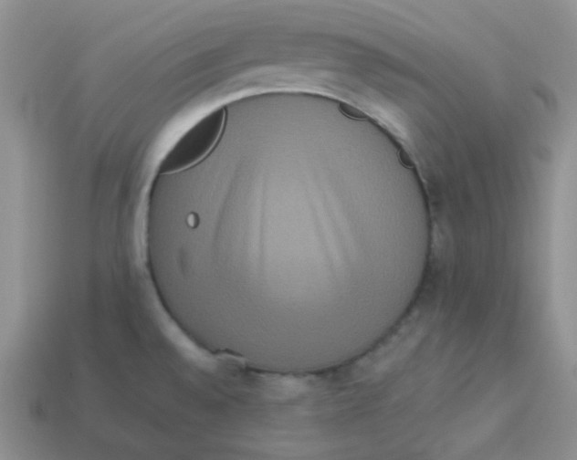 X0000113291528200910131016
