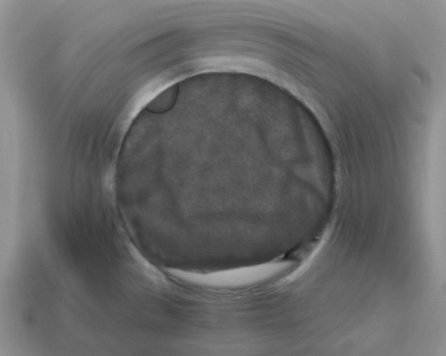 X0000113291529200910131016