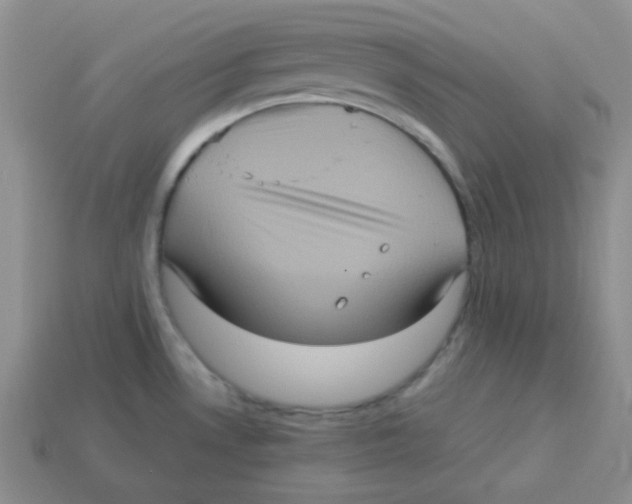 X0000113291530200910131016