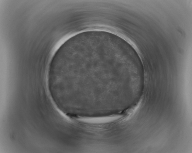 X0000113291533200910131016