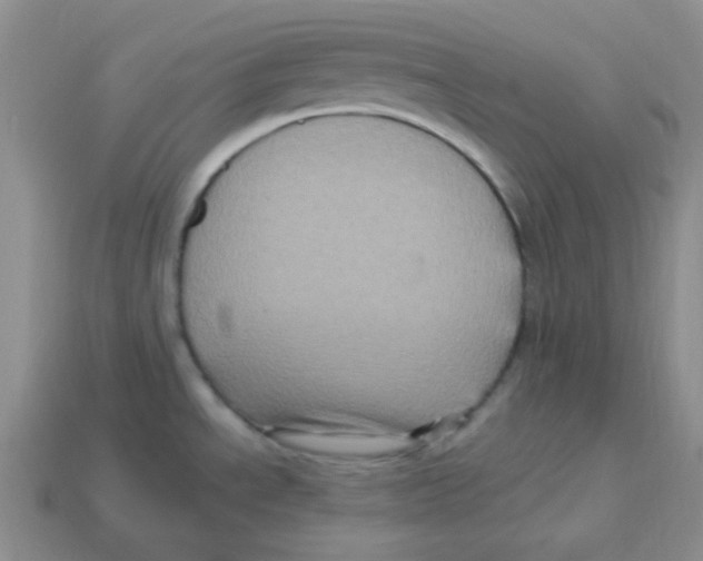 X0000113291534200910131016