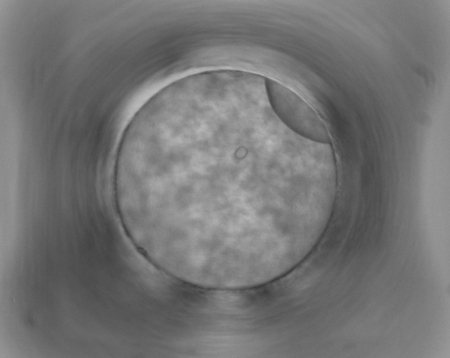 X0000113291536200910131016