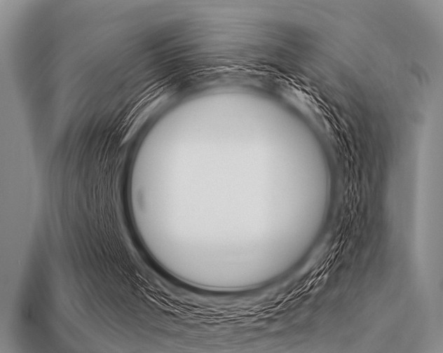 X0000113300001200909140955