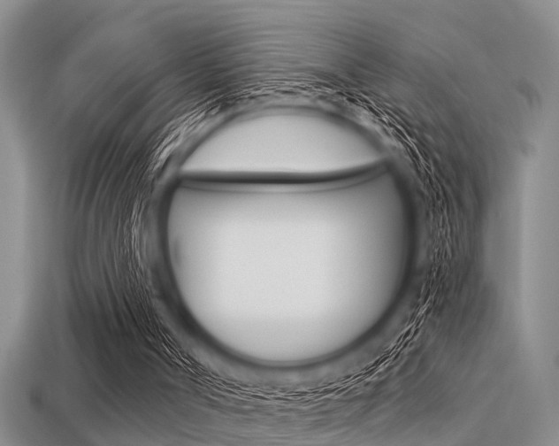 X0000113300002200909140955