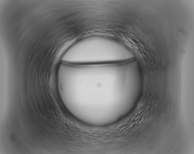 X0000113300003200909140955