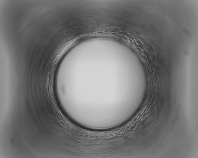 X0000113300005200909140955