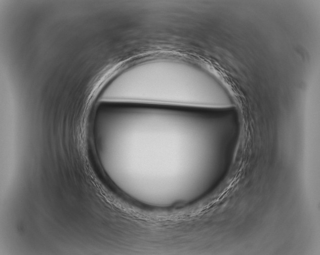 X0000113300007200909140955
