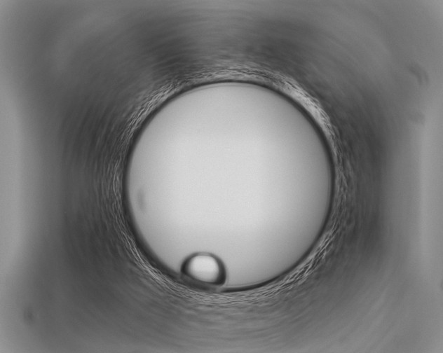 X0000113300009200909140955