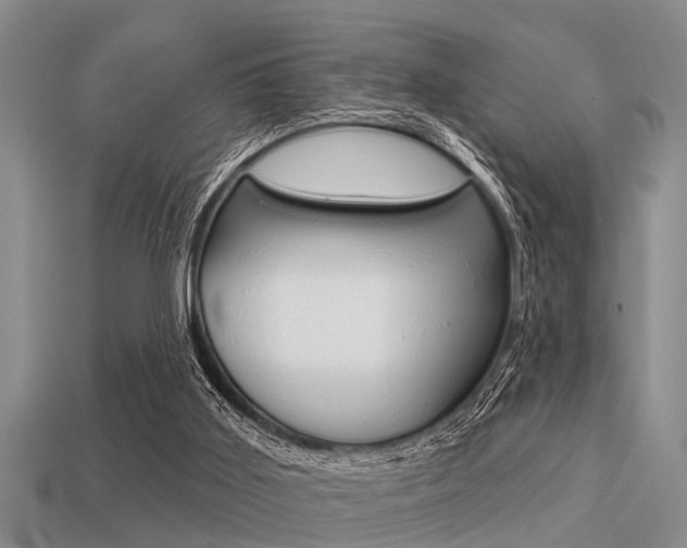 X0000113300011200909140955