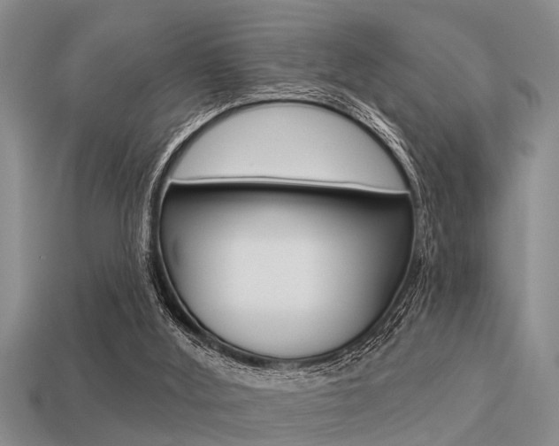 X0000113300012200909140955