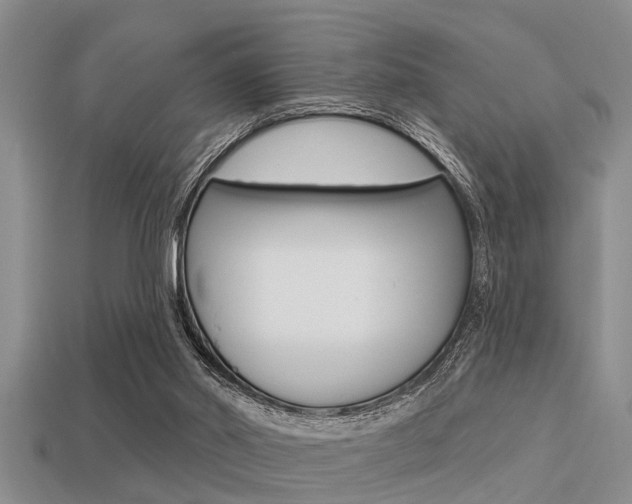 X0000113300014200909140954