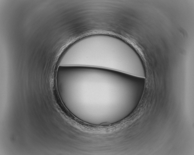 X0000113300015200909140954