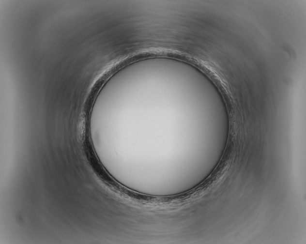 X0000113300016200909140954