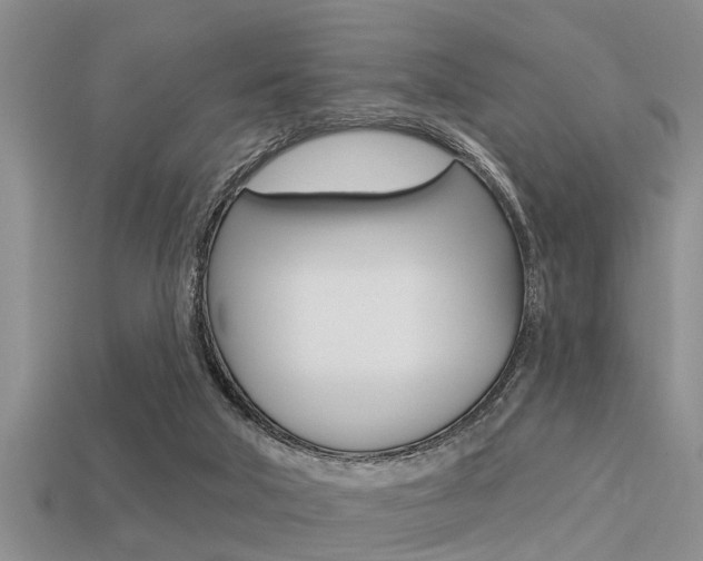 X0000113300018200909140954