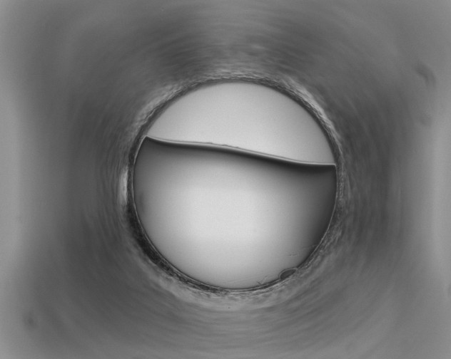 X0000113300019200909140954