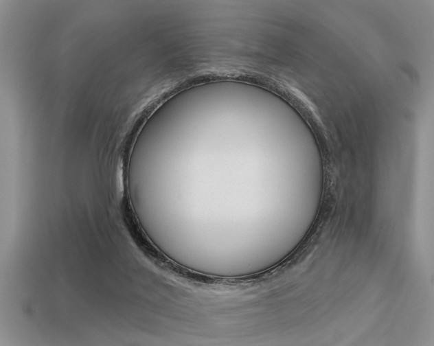 X0000113300020200909140954
