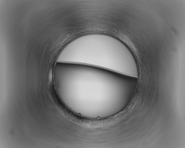 X0000113300021200909140954
