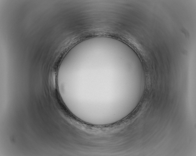 X0000113300022200909140954