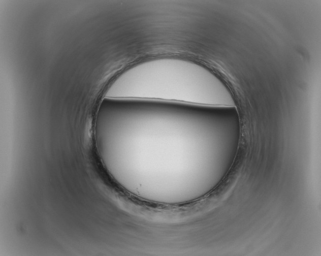 X0000113300024200909140954