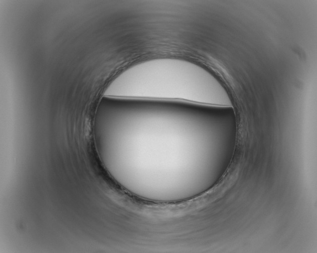 X0000113300025200909140954