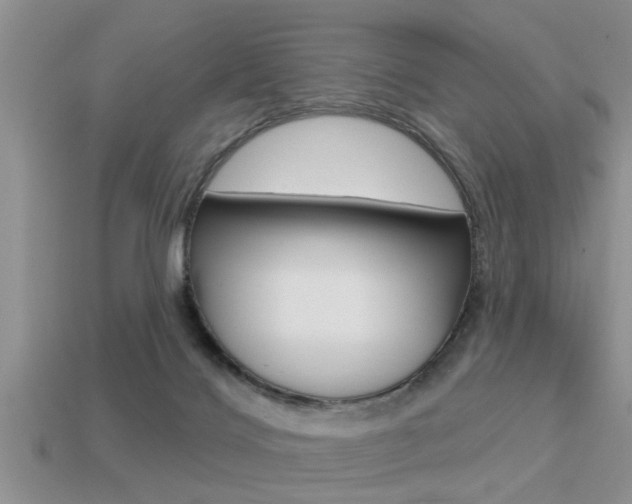 X0000113300028200909140954