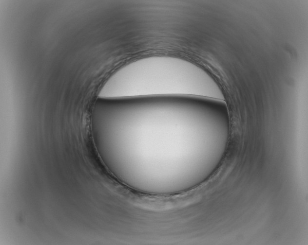 X0000113300029200909140954