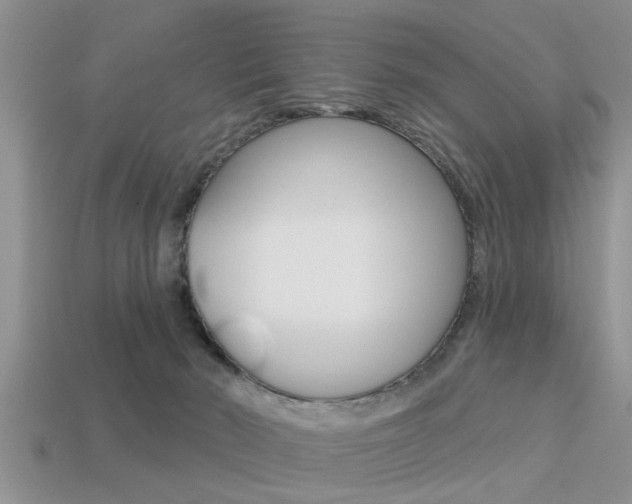 X0000113300030200909140954
