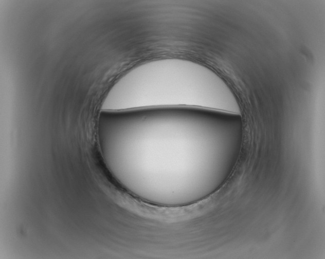 X0000113300031200909140954