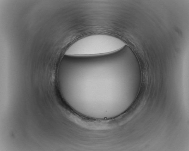 X0000113300032200909140954