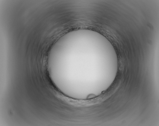 X0000113300034200909140954