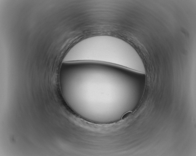 X0000113300035200909140954