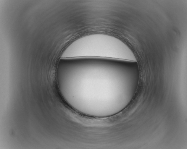 X0000113300036200909140954