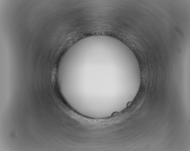 X0000113300038200909140954