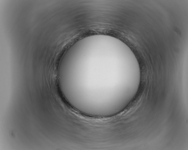 X0000113300040200909140954