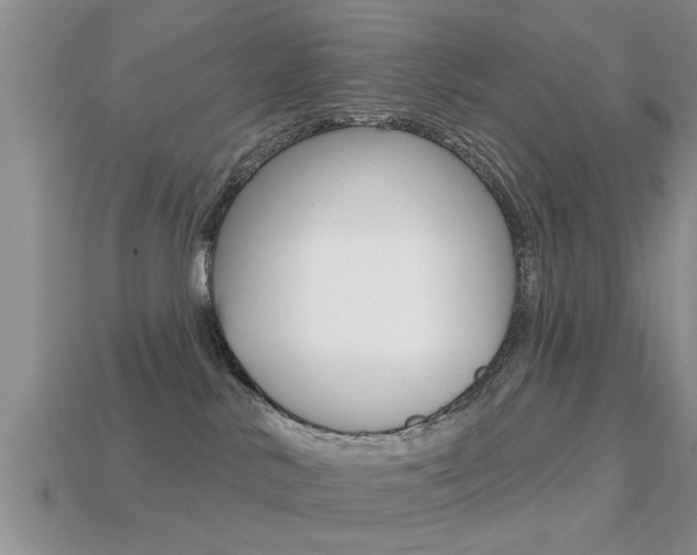 X0000113300042200909140954