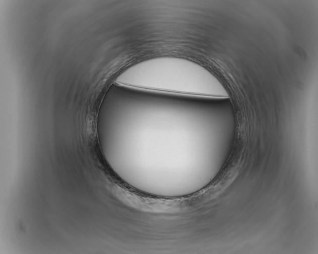 X0000113300044200909140954