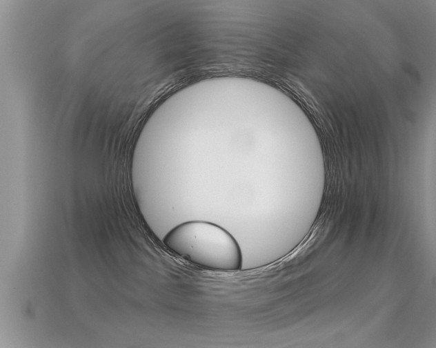 X0000113300045200909140954