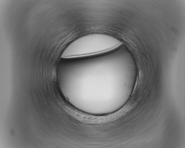 X0000113300048200909140954