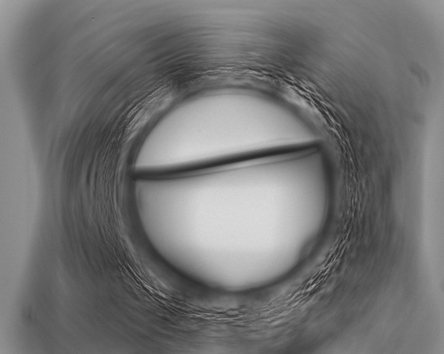 X0000113300049200909140953