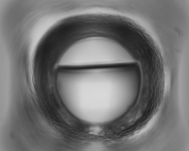 X0000113300050200909140953