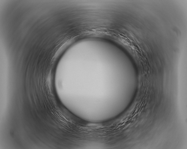 X0000113300051200909140953