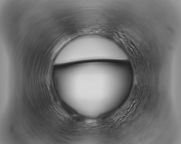 X0000113300052200909140953