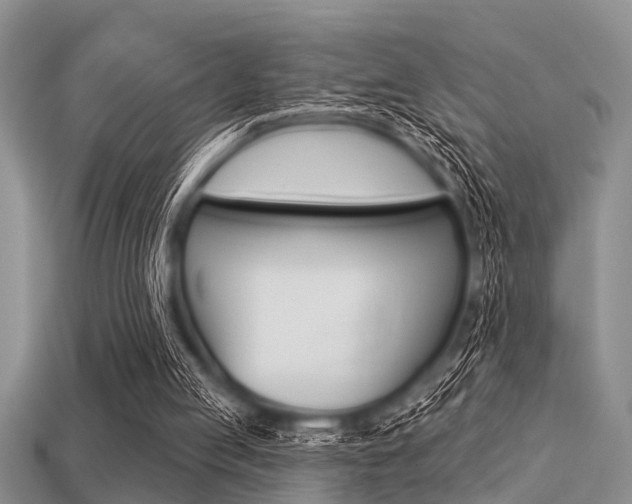 X0000113300053200909140953